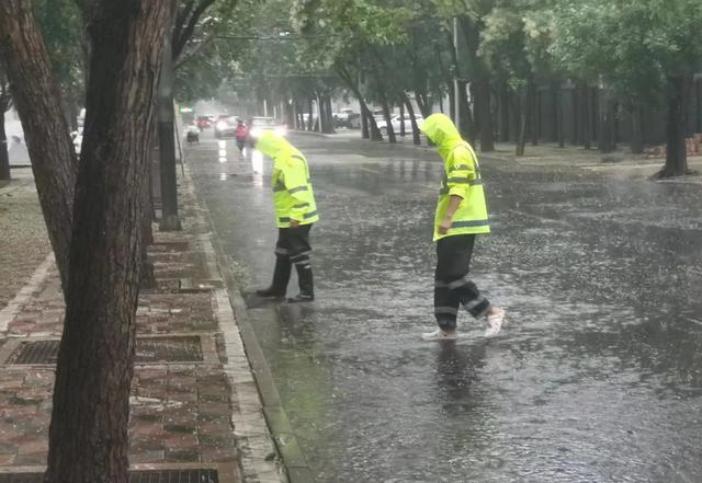 防汛常規(guī)物資中主要包含麻袋吸水膨脹袋,無紡布吸水膨脹袋,防汛沙袋,防汛噸袋,防汛編織袋,雨衣,雨靴,雨傘,彩條布,工兵鏟,十字鎬,八磅錘,應(yīng)急救生包等。