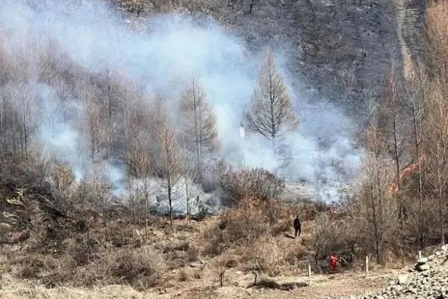 明火已撲滅，初步判斷由祭祀用火引發(fā)！今年已發(fā)生多起