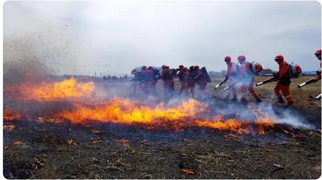 敦化市森林消防大隊聯(lián)合多方開展撲救森林火災(zāi)實戰(zhàn)演練