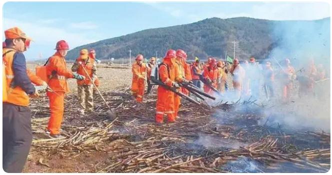 嚴防嚴控織密“防火網”——甘肅森林草原防火工作綜述